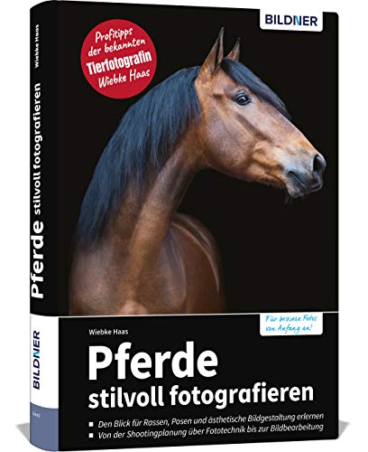 Pferde stilvoll fotografieren: Profitipps der bekannten Tierfotografin