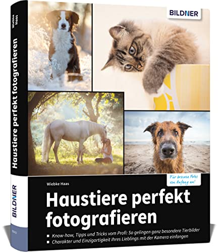 Haustiere perfekt fotografieren: So entstehen einzigartige Aufnahmen von Hund, Katze, Pferd