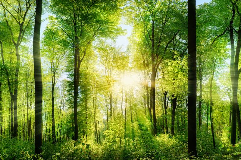 Bei der Landschaftsfotografie kommt es auch auf die Kameraeinstellungen an