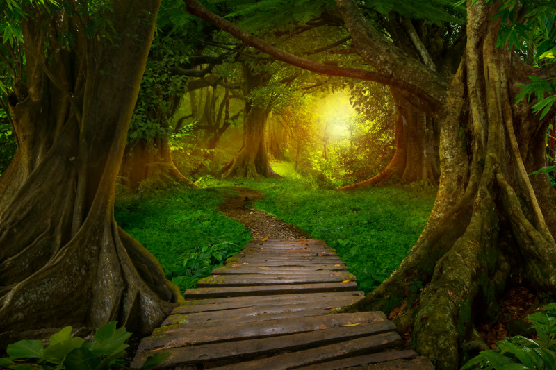 Nutze Licht als Stilmittel in der Landschaftsfotografie