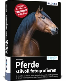 Pferde stilvoll fotografieren